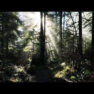 Meet your Posher, Hailey